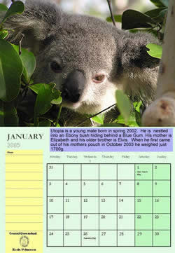 Buy a Calendar and help support a Koala