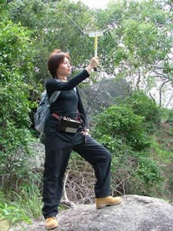 Radio Tracking Koalas